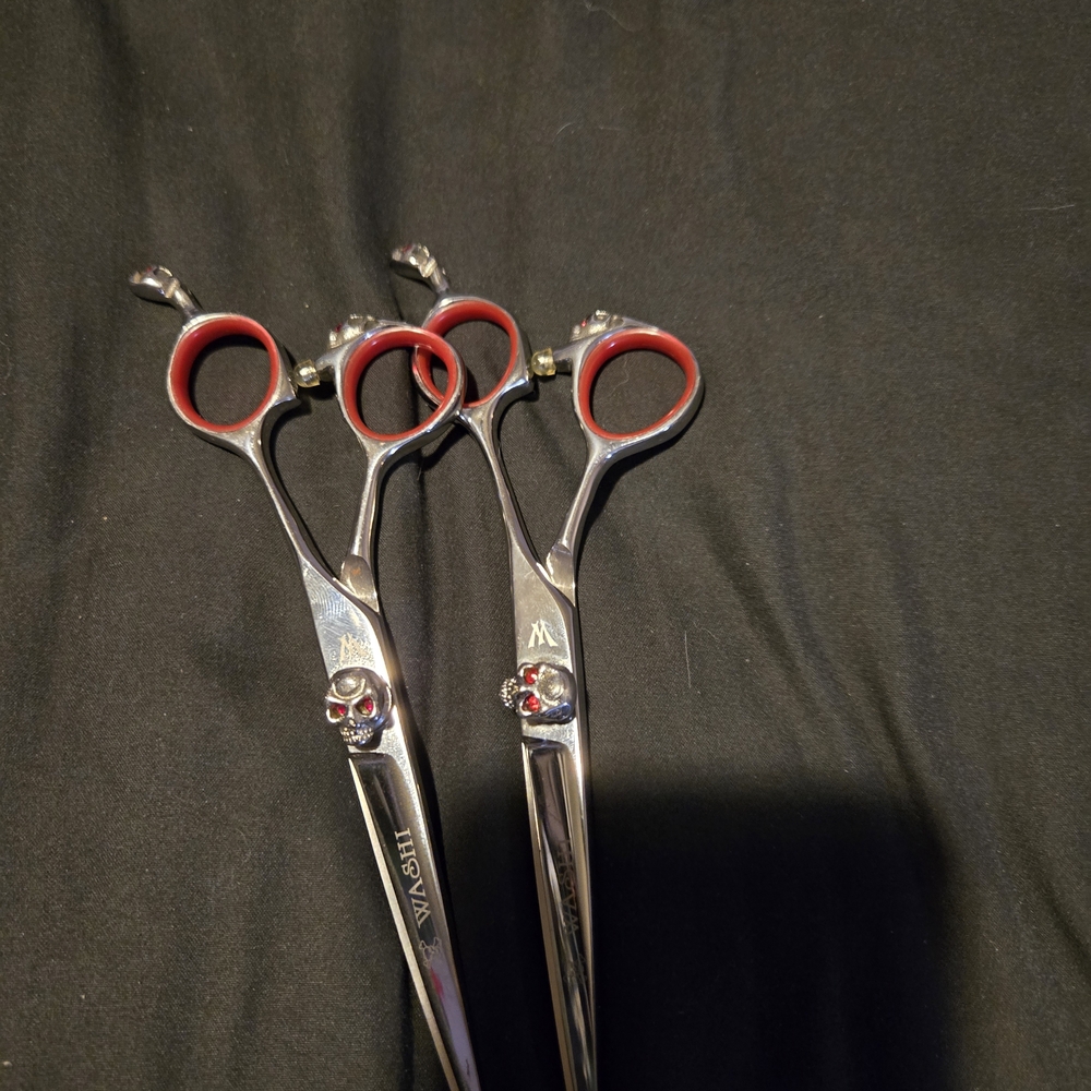 Washi Skull Shears 6" Rh